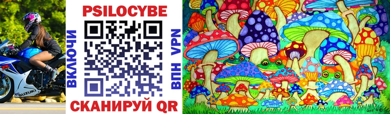 Галлюциногенные грибы Psilocybine cubensis где купить наркоту Красный Сулин